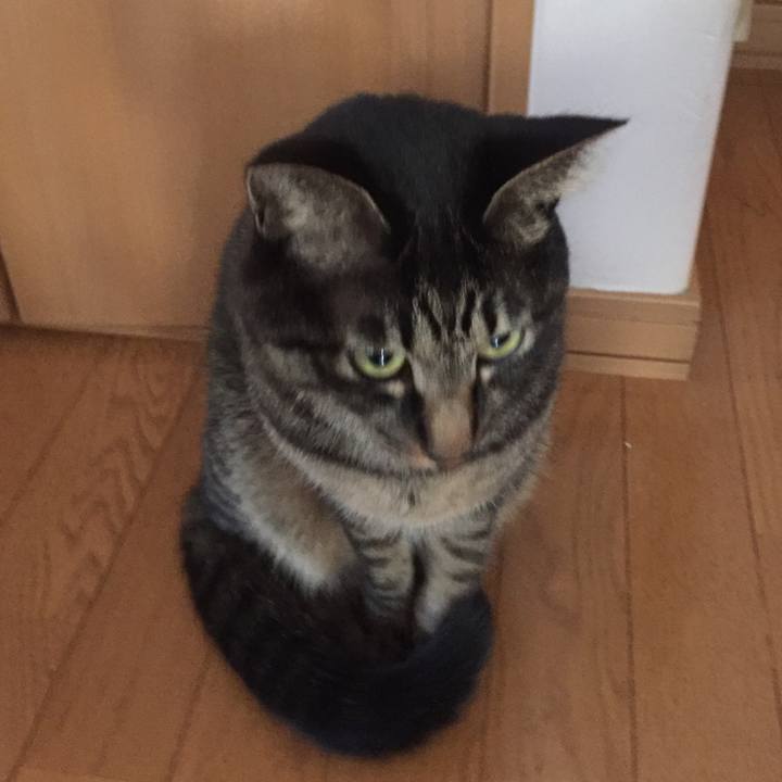 609fd459 6c7e 40be 8783 4d74bdc20744