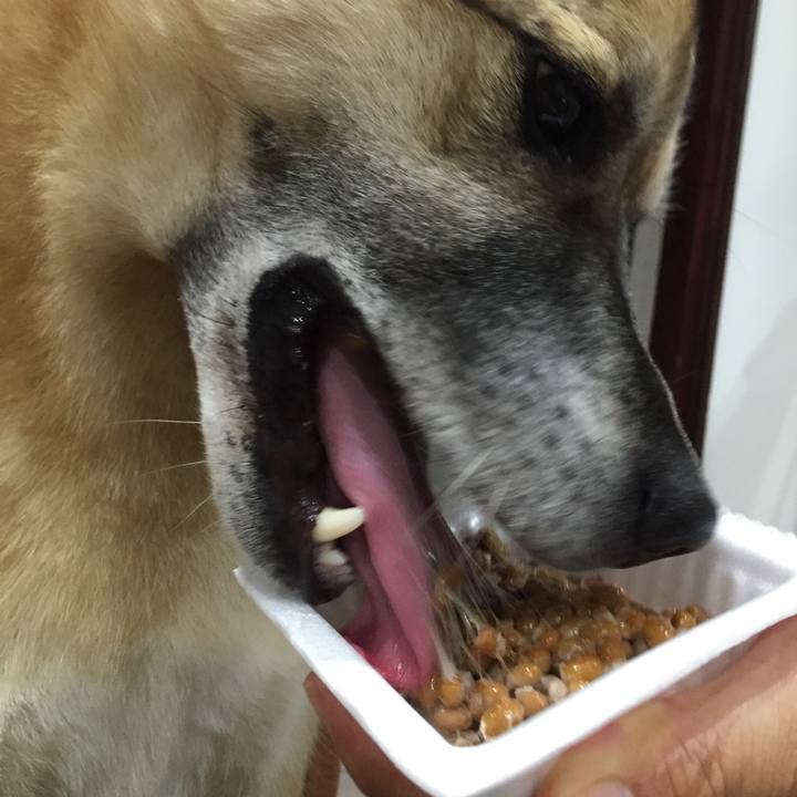 609fe909 a59e 447c b165 b0695966d1af