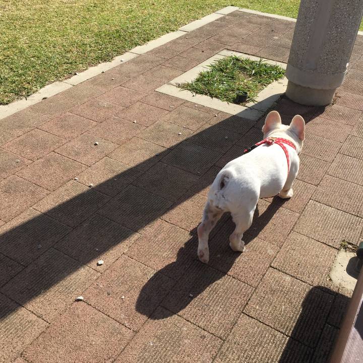 609fe9f6 d1e5 4928 b0a3 ad56cc1be9d5