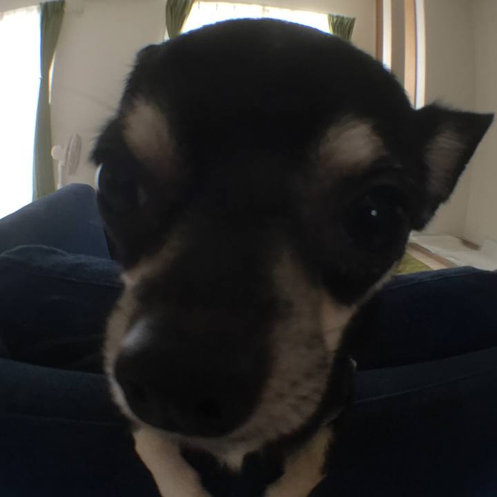 60a06b1b 0fd5 46c8 bbef 674970085570