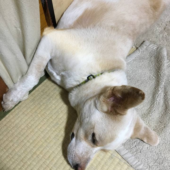 60a091d5 576e 4f7a a5e8 12d5fb4e9c87