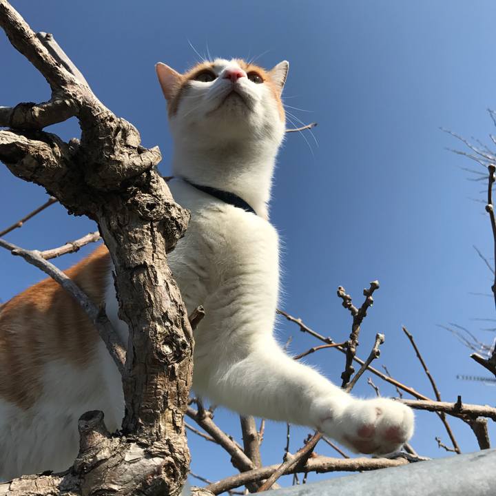 60a109a9 498e 45ec b5ae 46499e2a18c9