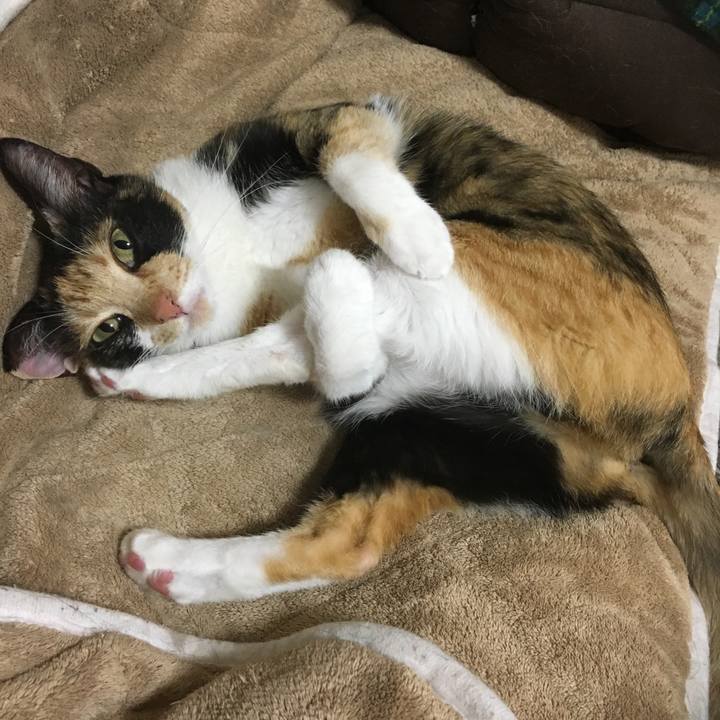 60a12fb5 c723 4b99 9a86 25657b7087b7