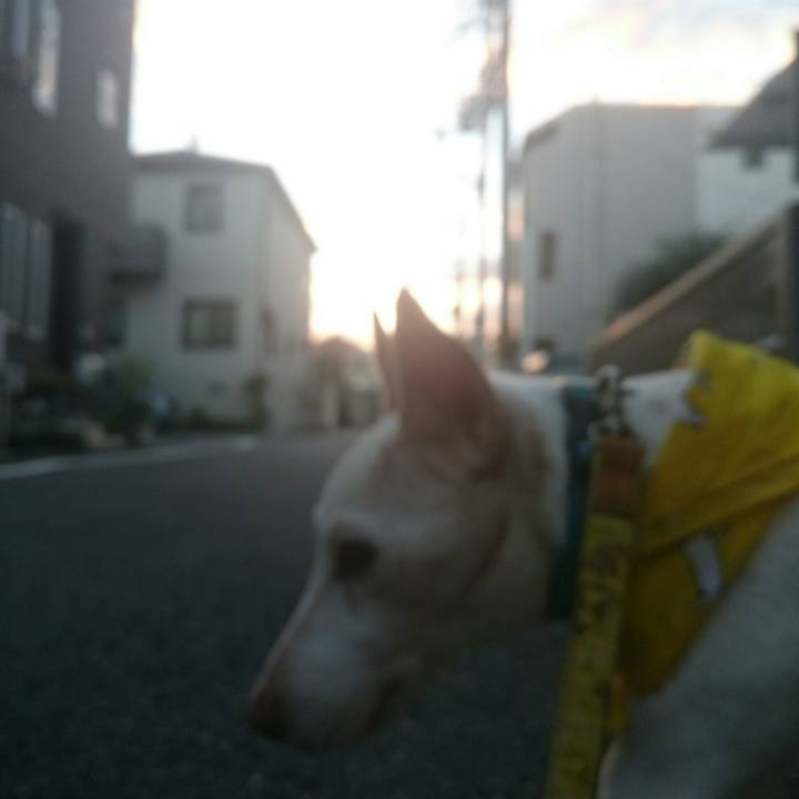 60a1ac94 0ea3 4e71 b016 cca785c2d725