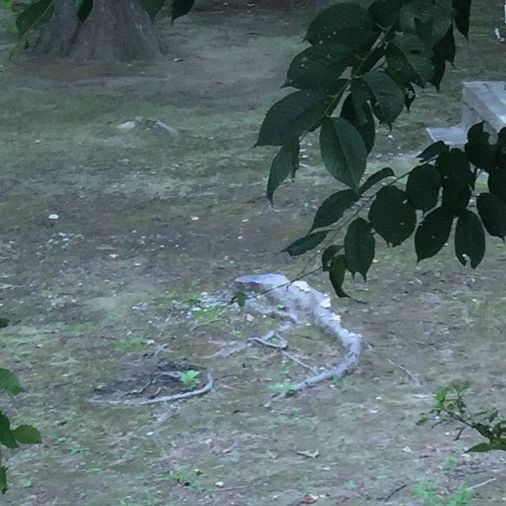 60a1b6eb 90e8 46e7 bbb7 a9e5e5efcae4