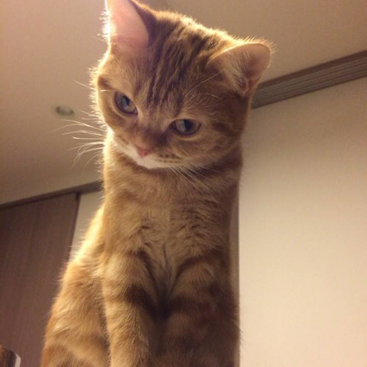 60a22acb 48c8 4812 9ba4 901c0c869e41