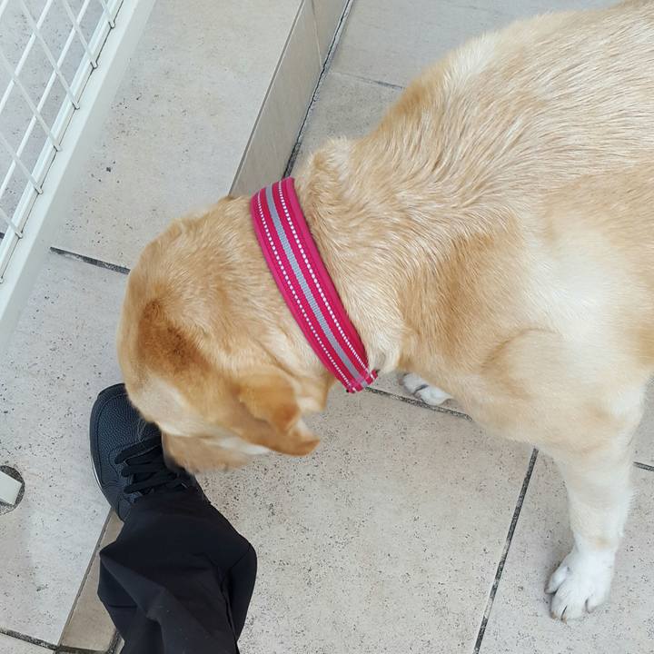 60a292da 57e8 44c1 a6eb aaa564076b7a