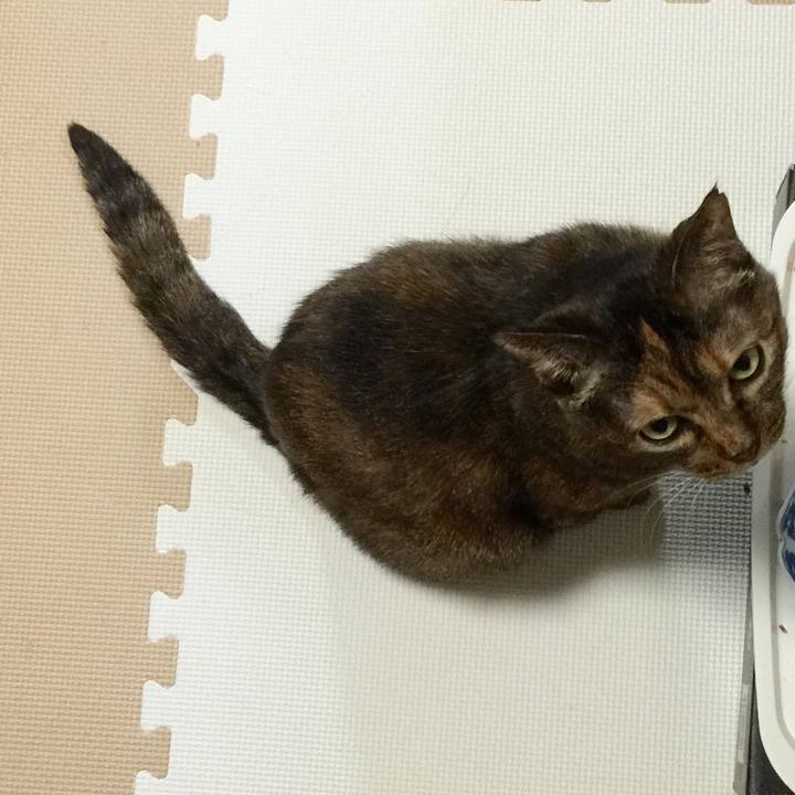 60a2a020 3588 40ab a3a5 15d10e85ff5b