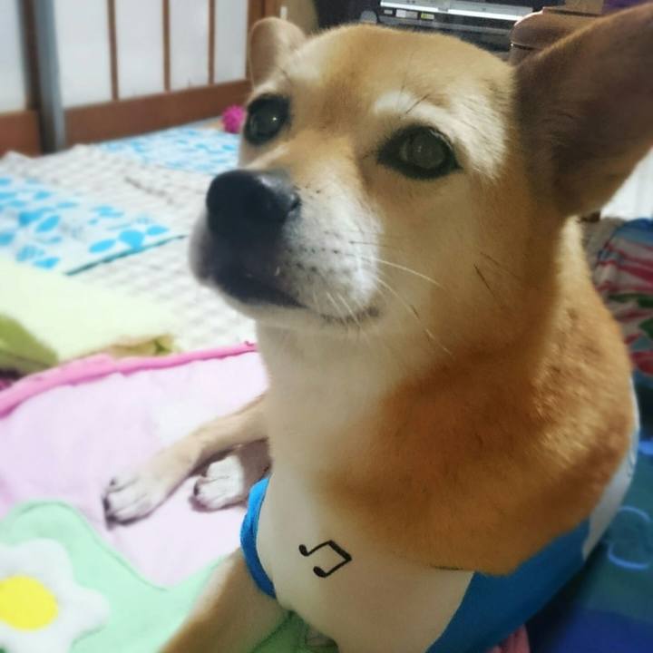 60a2d4f7 2ecb 4965 93e9 70421a2e0450