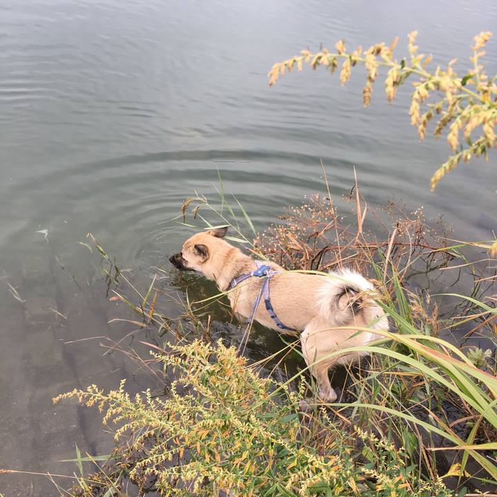 60a41d9b 7362 410c 9dcc d9b338907aad