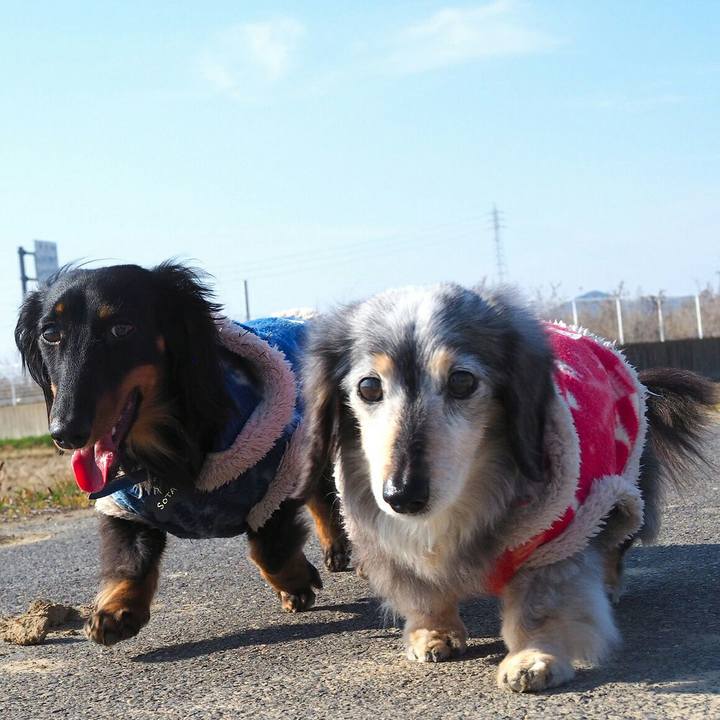 60a42d50 a00f 4cbb a4a1 e2cce5e6b984