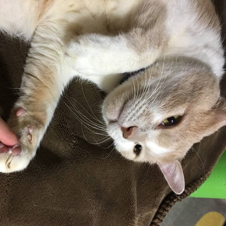 60a44063 7125 42f4 aa7e d9e136bebd19