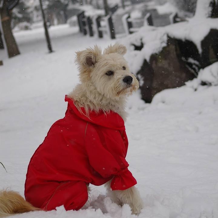 60a4603b 2845 4120 928c 424d5134ea1b