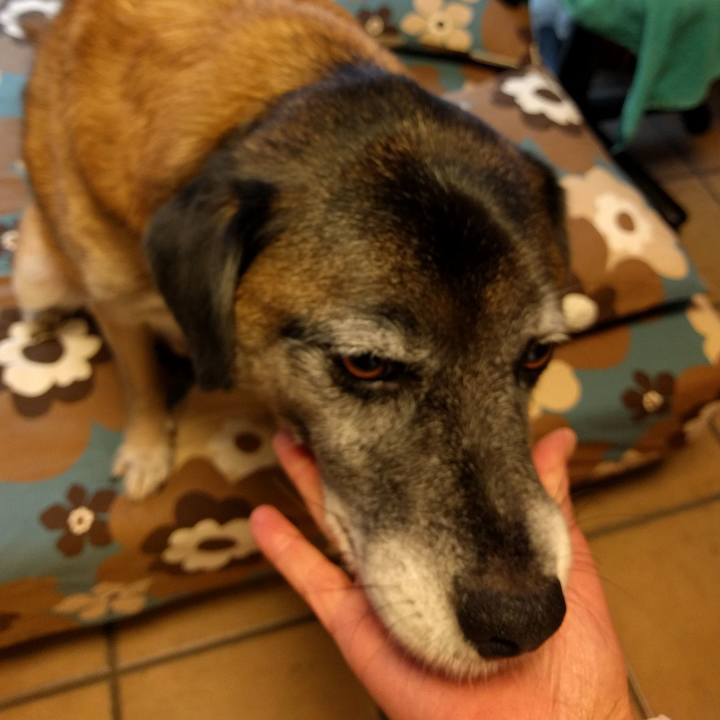 60a47f0a b609 45ae 9baa 7cf9f6c3b6ea