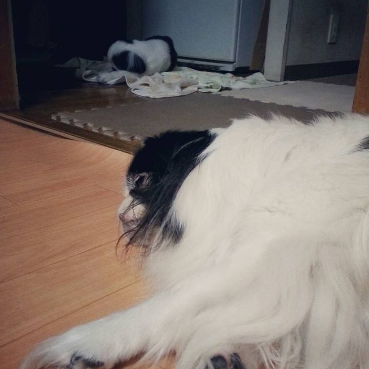 60a490c0 bdb1 461a ae8d ce10f6a151df