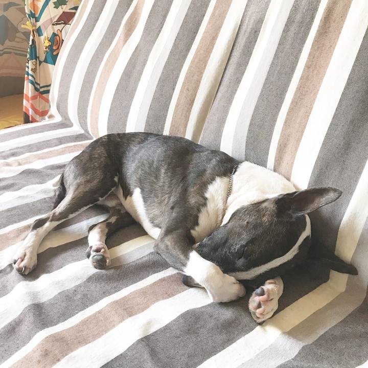 60a4da24 f81b 4bc7 9995 fb20a760faf1