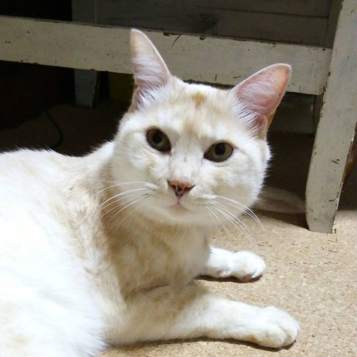 60a4e24d ff72 43dc 941d a53f49707f0d