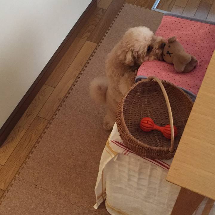 60a4f588 df37 4cec b178 62b45e55ef65