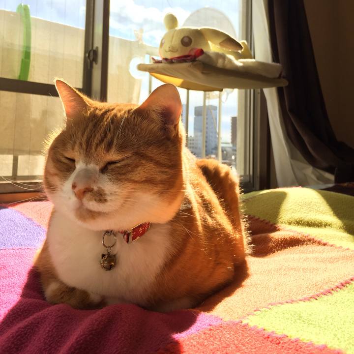 60a50415 8323 4b69 aaf8 0348fc8eb327