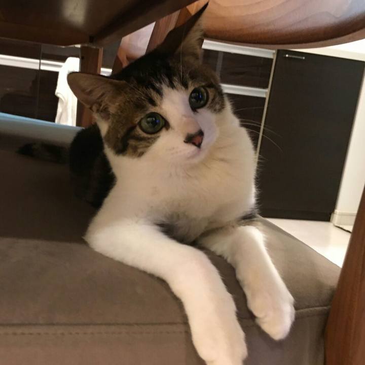 60a5b01d 5d27 421b 9326 b17ecdd67e69