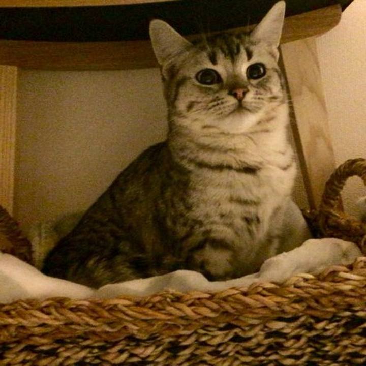 60a605e2 d59f 45b3 9c7d 872dbfc56d07