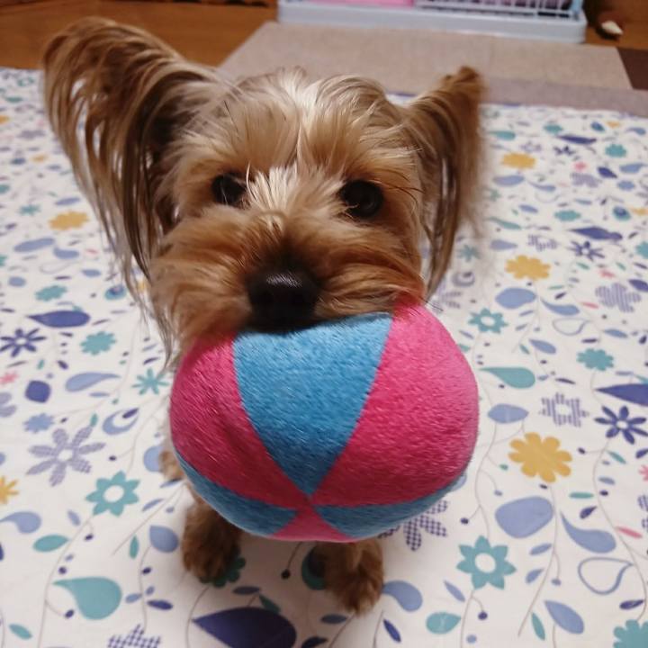 60a674b2 885e 4c04 82bf 6a9d06fcfc5a