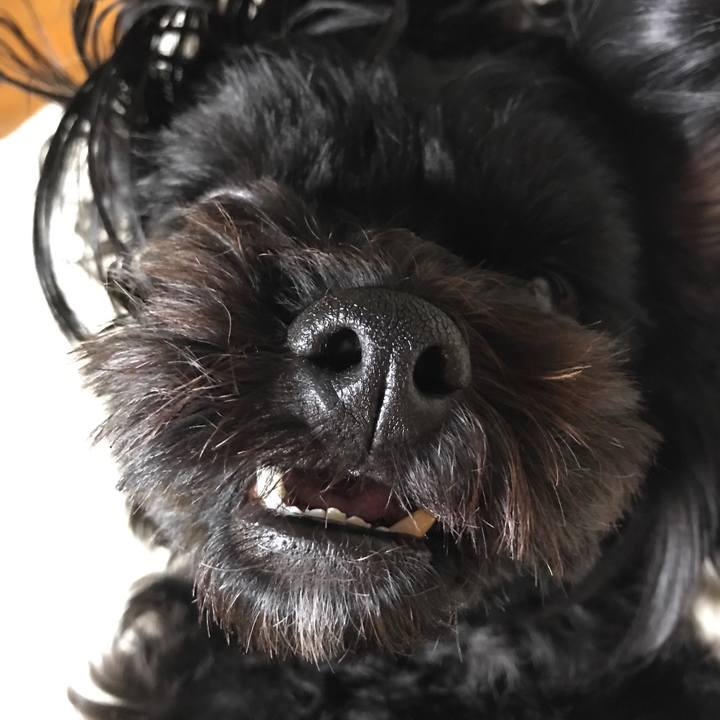 60a73be3 fa71 4000 9fc7 cefcef3c80f0