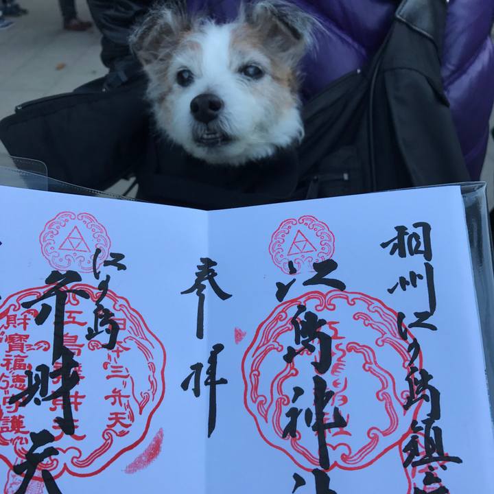 60a77471 4982 4189 8015 65d335e07925