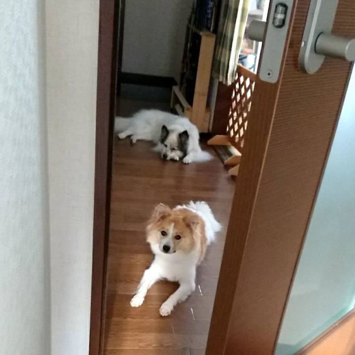 60a7785b 97dc 48c6 9e2b 0805abc8b825