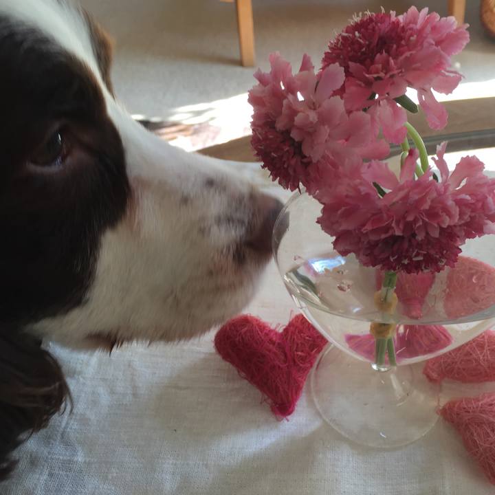 60a7b993 02e8 4a2a 92c7 0fac97c2d01d