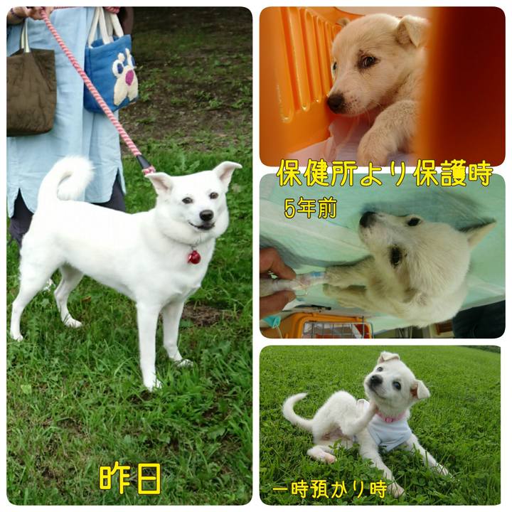 60a7bd58 96ba 4f21 a462 57bae40c8f6b
