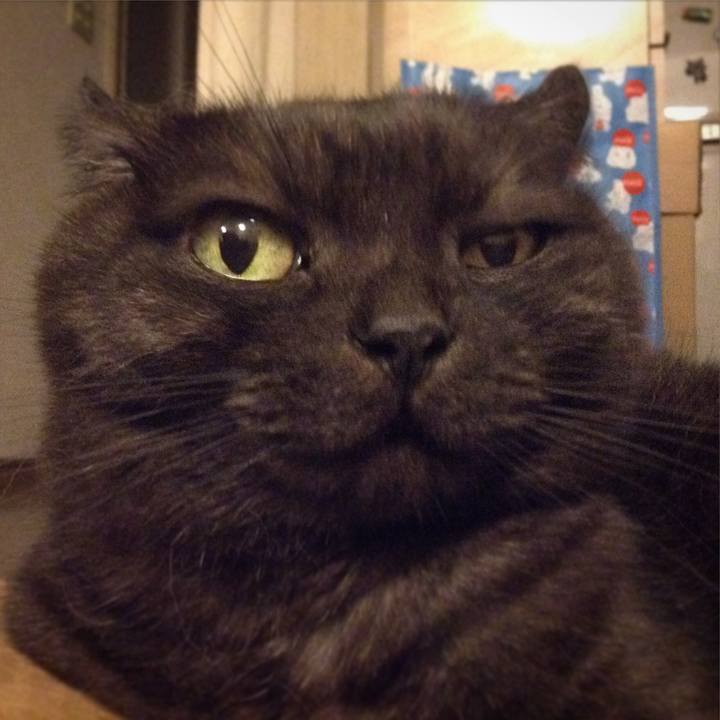 60a7dd29 c914 4b4a 8f54 01a796508131