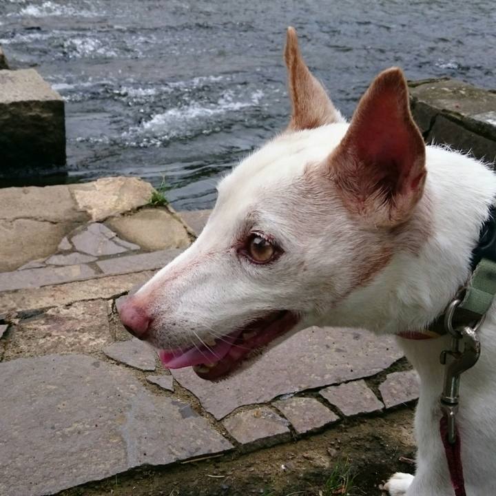 60a7f7a2 b225 4cb3 abf3 a09f5b74caee