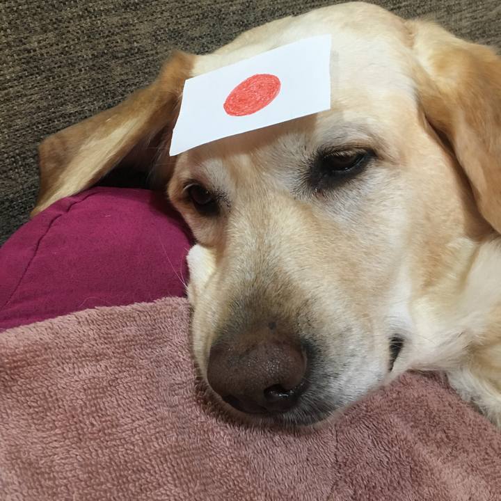 60a8201c cb01 4f63 bb72 c88e614f7239