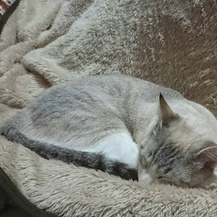 60a915d2 b7d6 4427 bcfc ba49226ba4bc