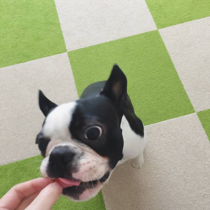 60aa4075 369d 4c1a a594 036e417942ed