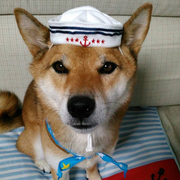 60aa5244 dbc9 49c1 9fba afe03a467c30