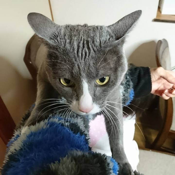 60aa6b5a 671f 49a2 b1c3 32888d7af137