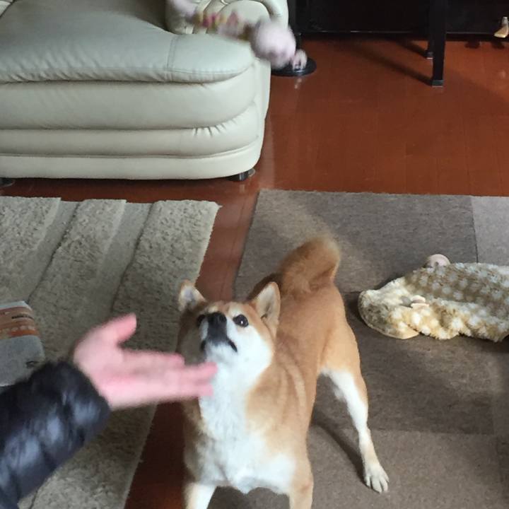 60ab9a45 0086 4707 9098 d007fce7be5f