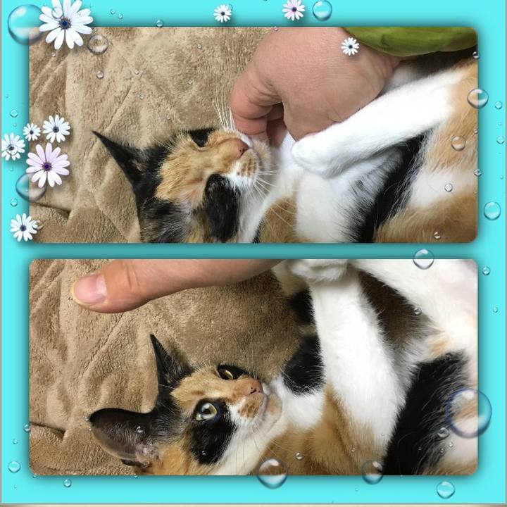 60aba23c cdb0 4a7d bb12 e256309a7a57