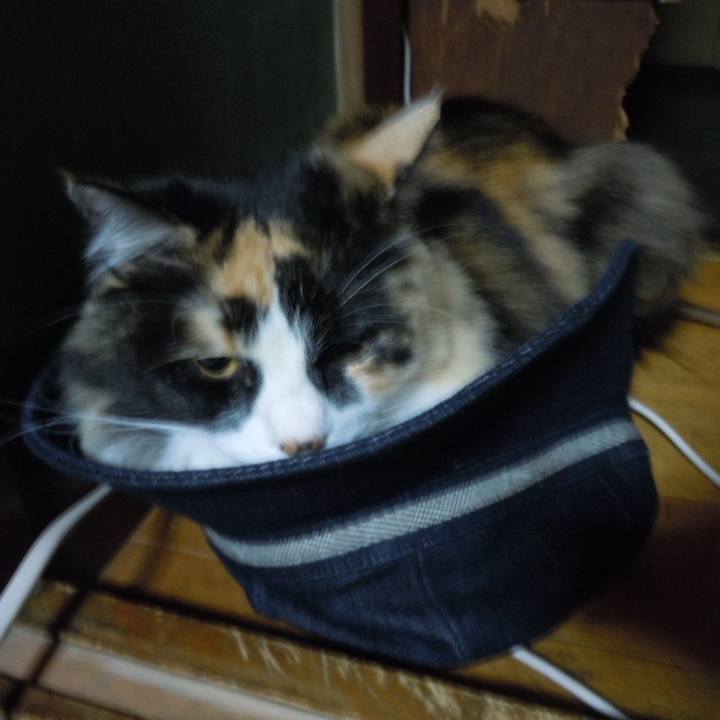 60abcc18 1df3 4366 82fe 70bb5160bb67