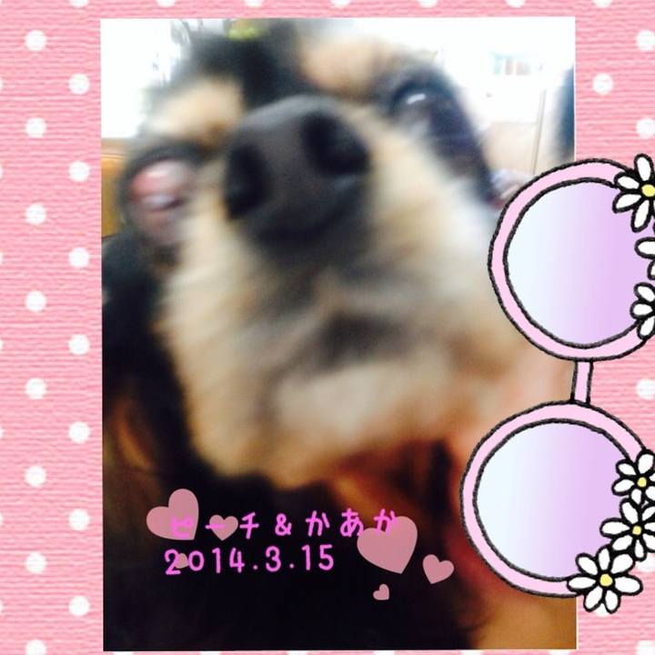 60ac17cf 97c7 4c4f aa23 027680054dd7