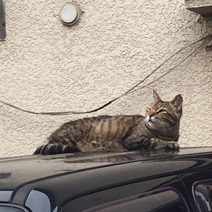 60ad8747 d3dc 4778 a6bc f53b16ad57c6