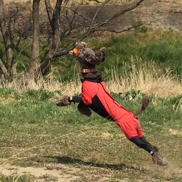 60adb580 8a72 4384 94a4 6c3ea47fd48a