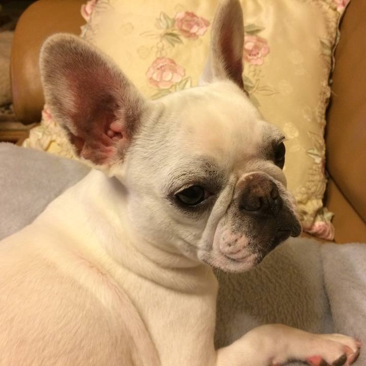 60ade49f 376e 45de afb4 83e507f57e19