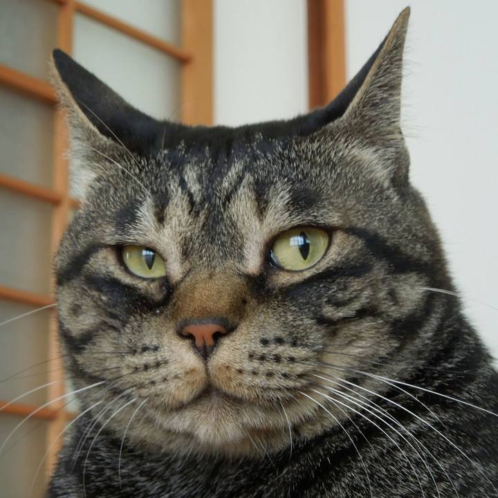 60ae022b 6e72 4c9f 9857 69a492e50003