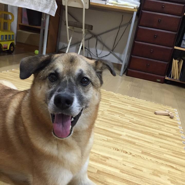 60aea67f 1a13 45df 97b8 6c470de48da5