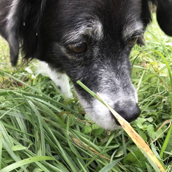 60aeab64 3a0b 498c bef0 3a1c3b3d5e79