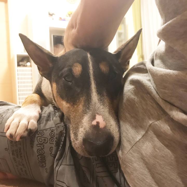 60af0d84 d33b 46d5 b6fb 26e5345ef887