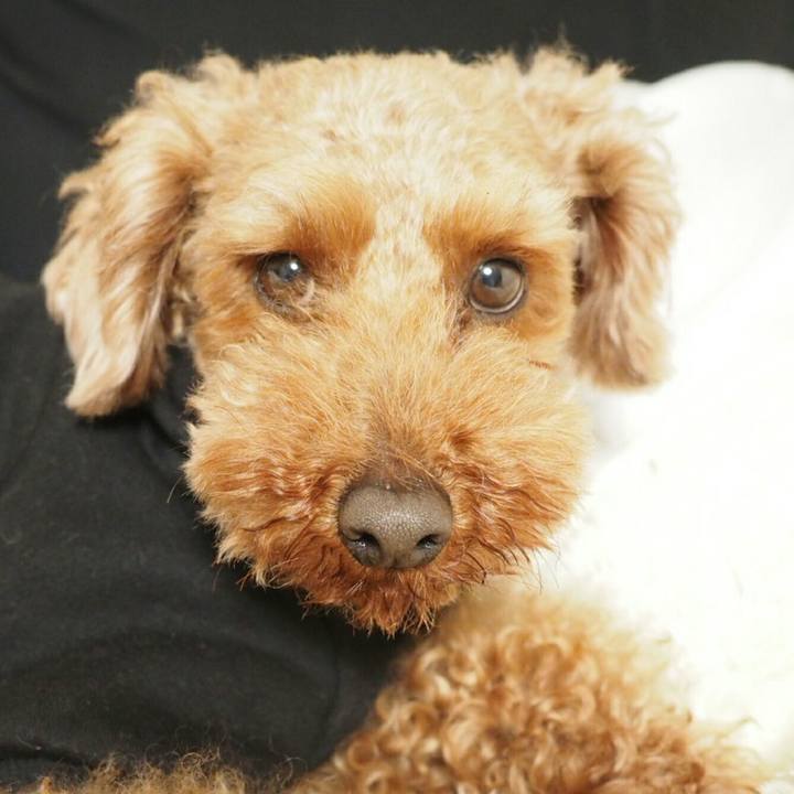 60af9b54 2a17 4a6e afb1 e490eae51ff1